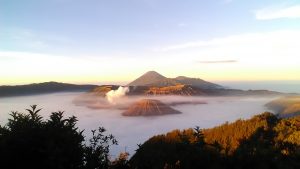 bromo ijen tour