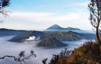#bromo tour package #kawah ijen blue fire tour
